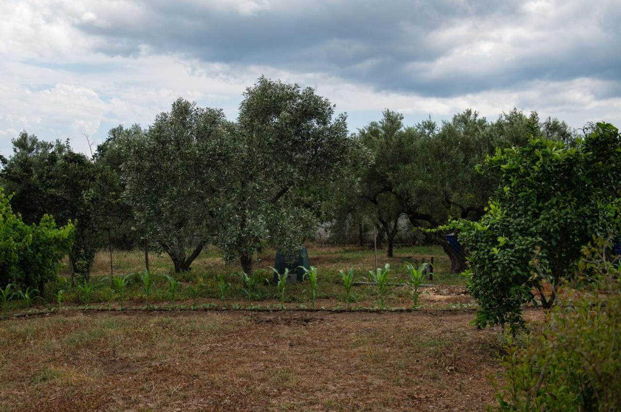 Agrikia Tis Vasilikis Apartamento Ormilia Exterior foto
