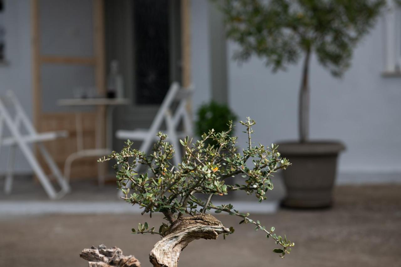 Agrikia Tis Vasilikis Apartamento Ormilia Exterior foto