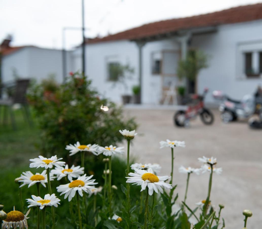 Agrikia Tis Vasilikis Apartamento Ormilia Exterior foto