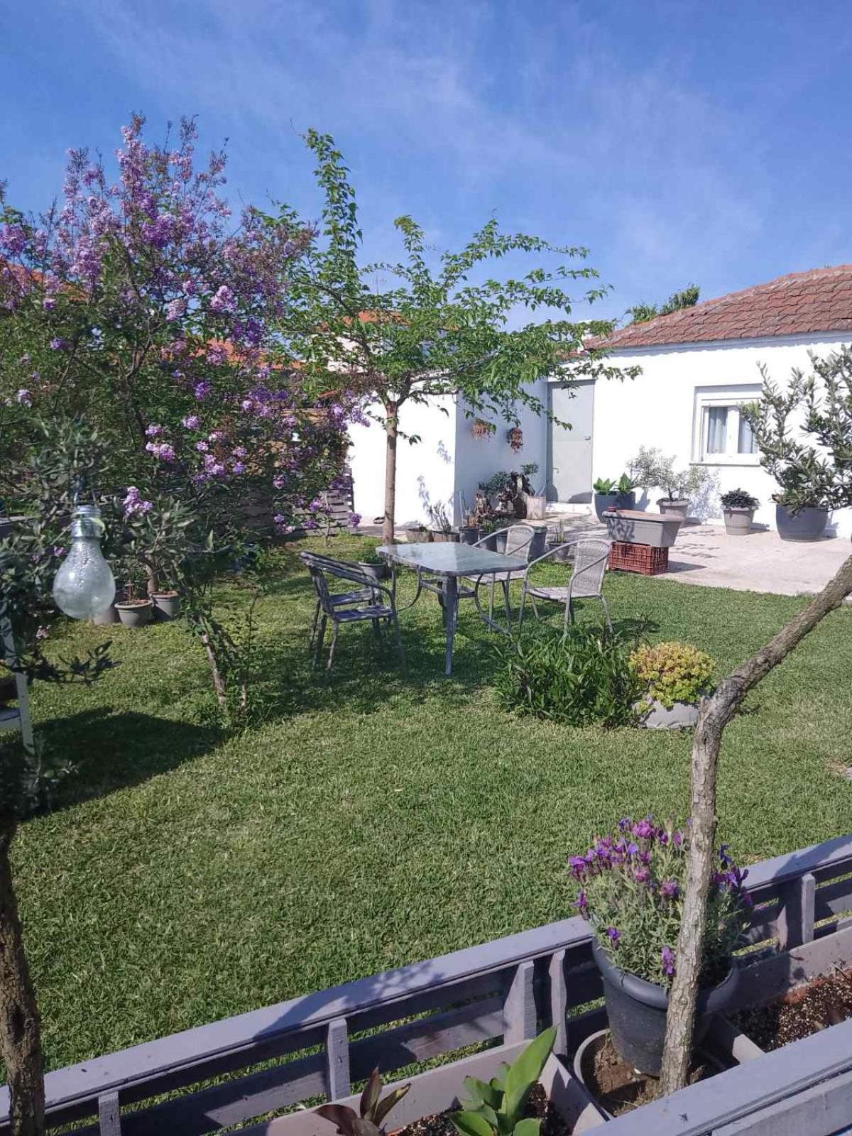 Agrikia Tis Vasilikis Apartamento Ormilia Exterior foto